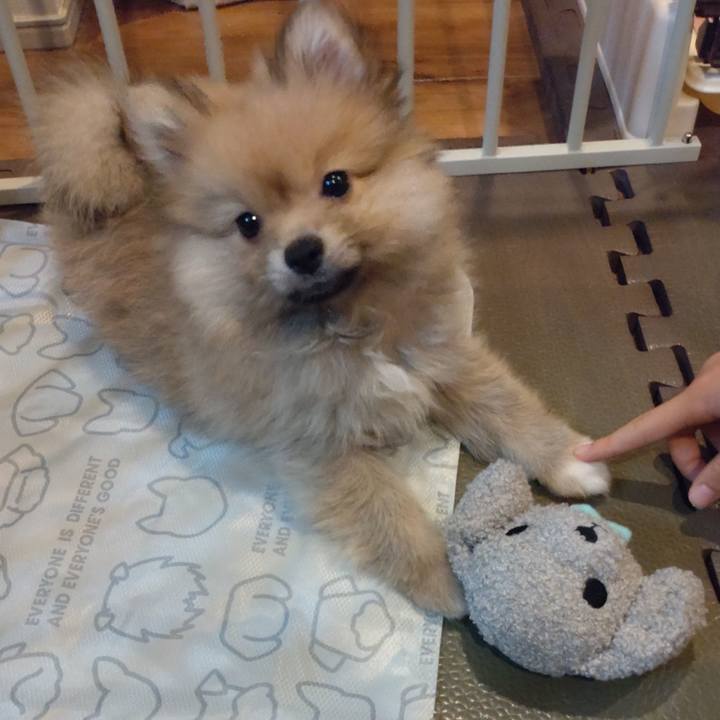 672c8ae3 d3d3 4f7f a190 578282d5567c 1751419453156