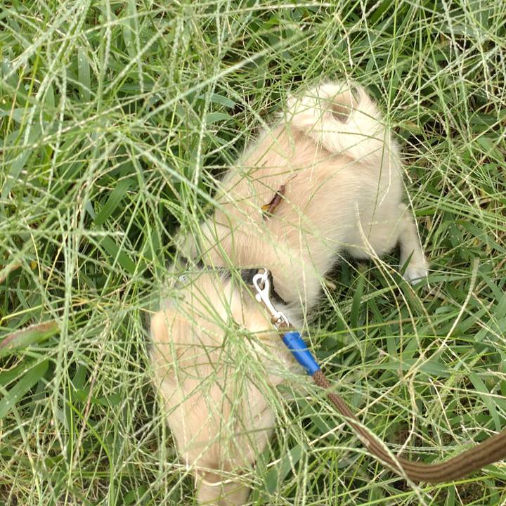 672c8c74 304e 4935 899c 73e4c0e67dd7 1727573484393