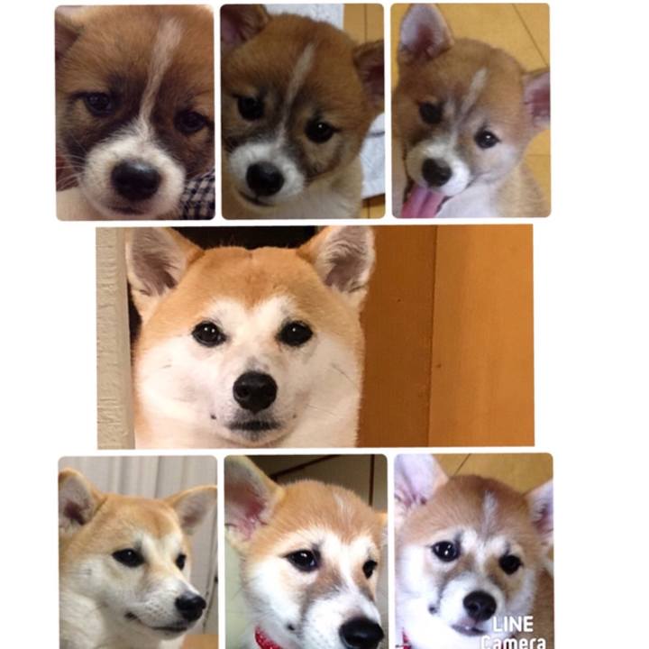 672c9a70 691e 4784 86d4 4597fed27c49 1535331174289