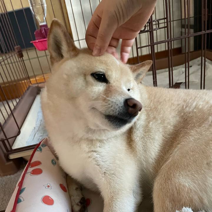 672ca776 a8c5 47e7 b550 bff8a7da4a9d 1715982120410