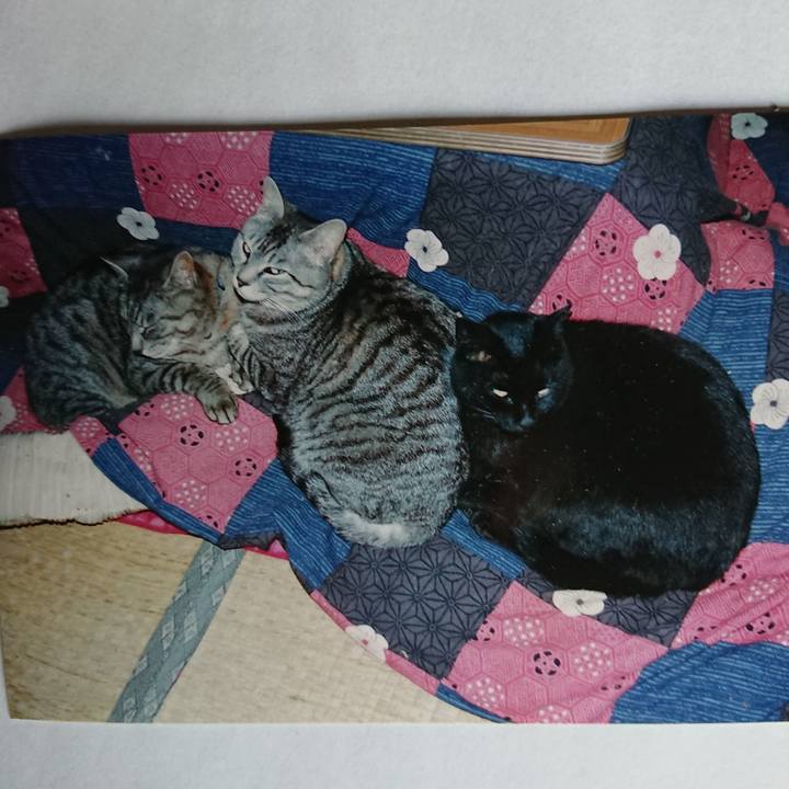 672cf074 b828 4614 a6c8 3ccf2025c74b 1601067328955