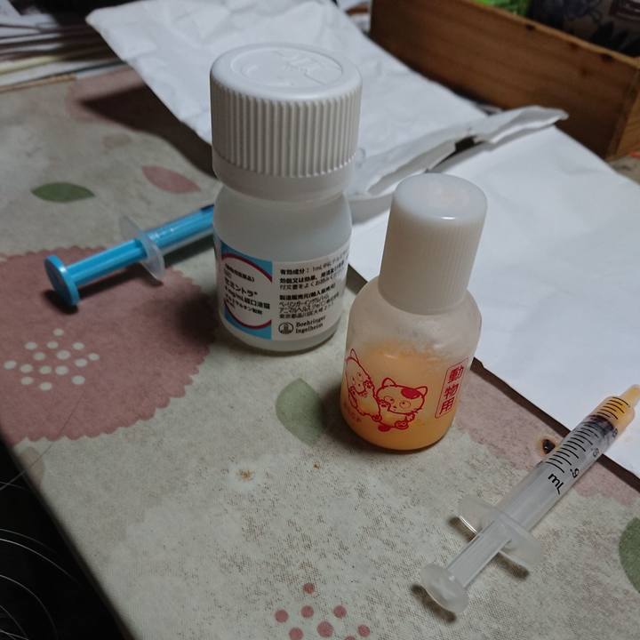 672d0f43 c53f 45d9 bfc6 da3ce371396f 1590959544529