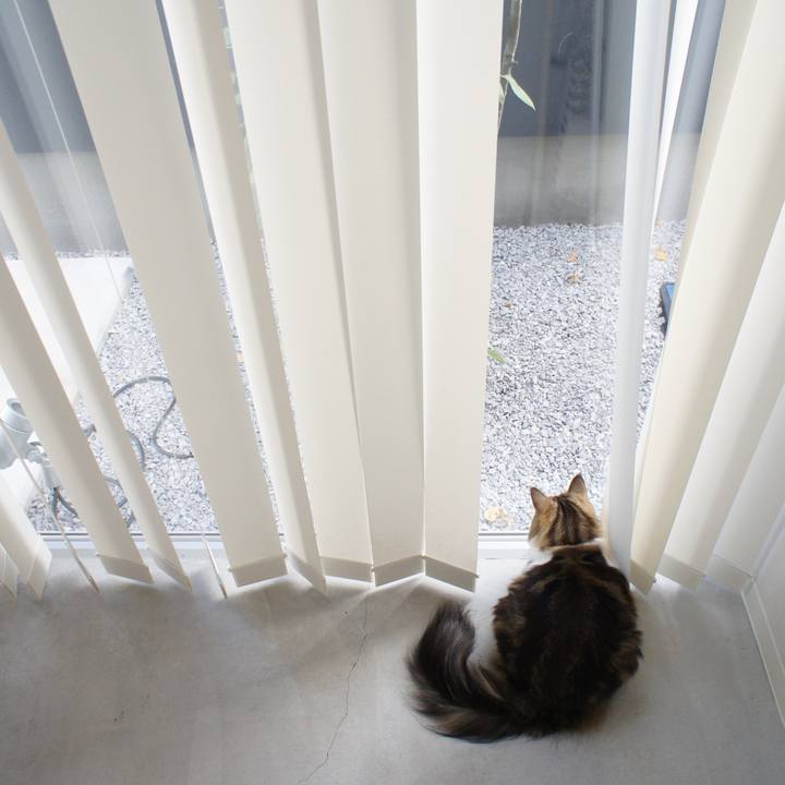 672d1bcf 1325 46e3 9c21 4ee1d9efdb1e 1539059816640