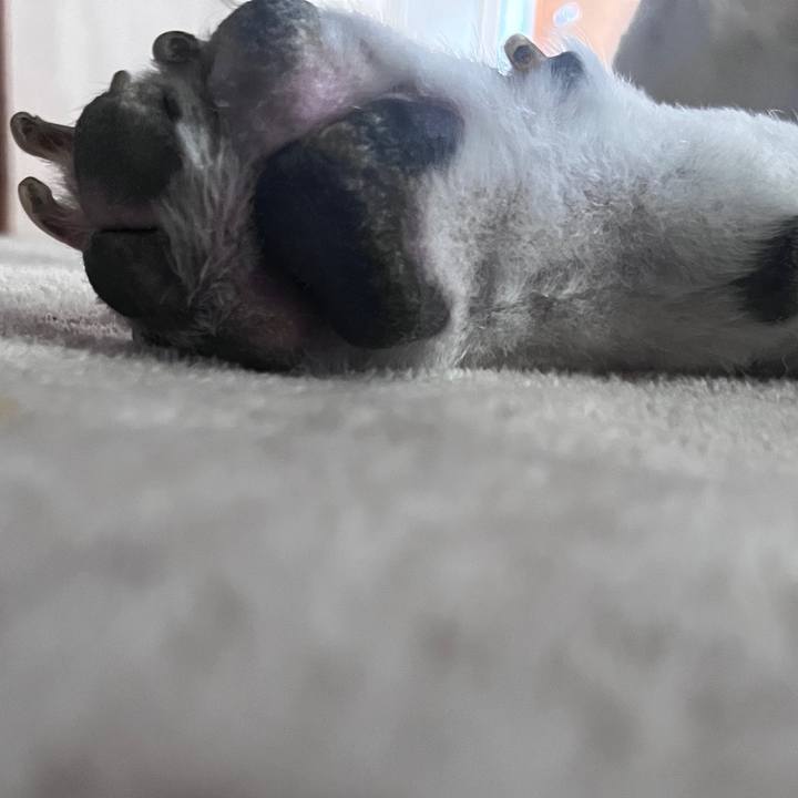 672d48f4 cead 4763 8077 7acd21ad9b1f 1717229497922