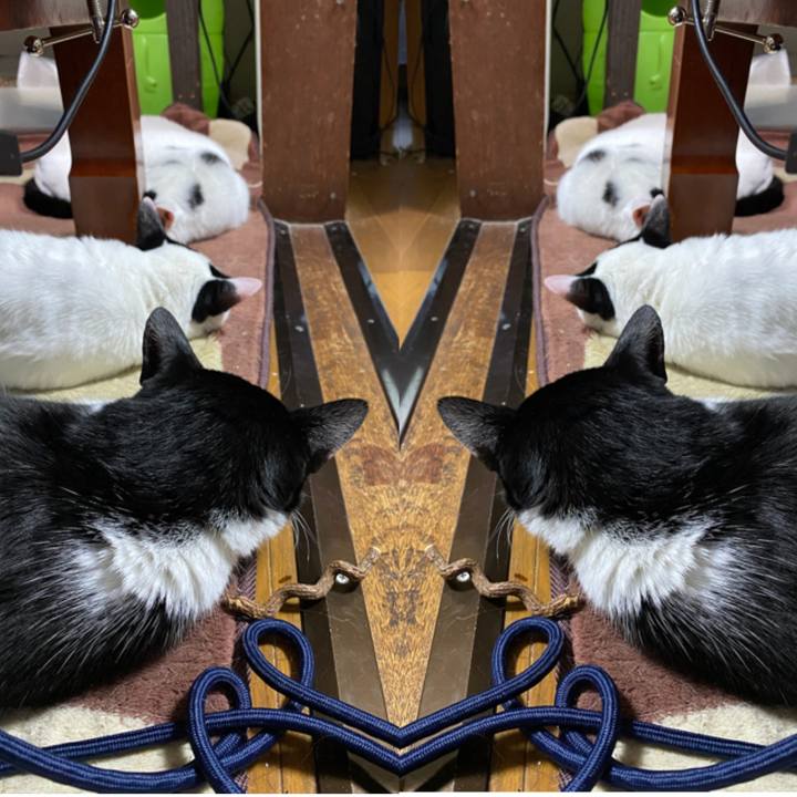 672d5f1c b3ee 4c21 b4f5 4c5f983b2019 1637546958474