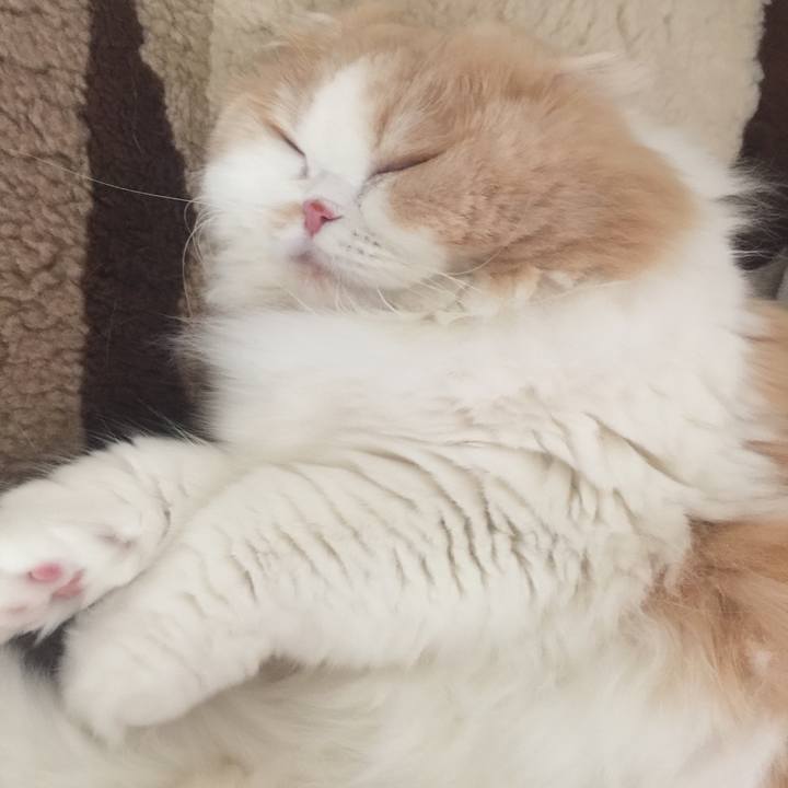 672d8677 1178 4842 96d2 c8549ca62702 1588491535544