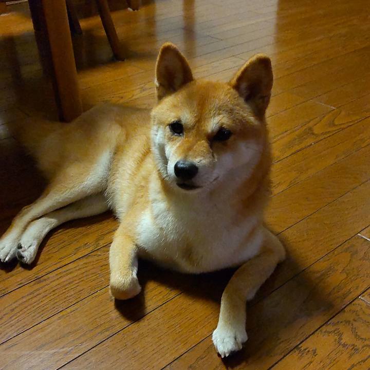 672dae67 59f2 4d89 9603 66c6aaf80cb6 1658746744360