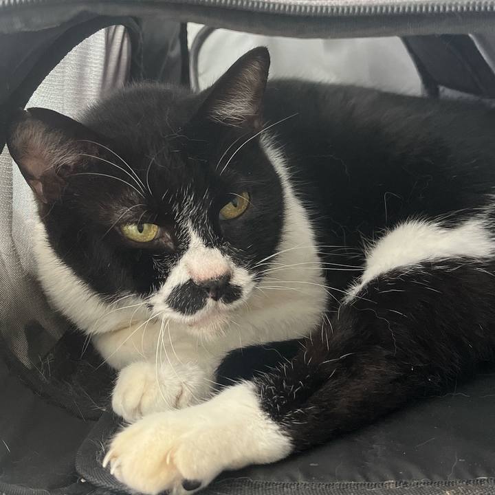 672e3c41 20fb 48bc 9677 69a66d129794 1699580722666