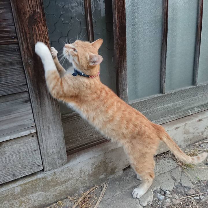 672e6374 d775 4aea aba2 8f4dd75e8c06 1559679449229