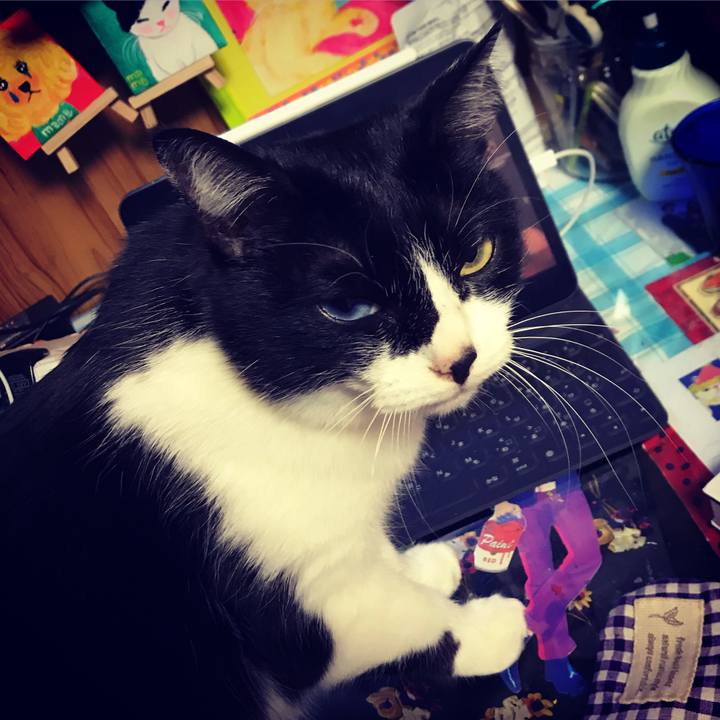 672e6aab f4b1 4b3c ad7a d79d79b3153e 1581342047139