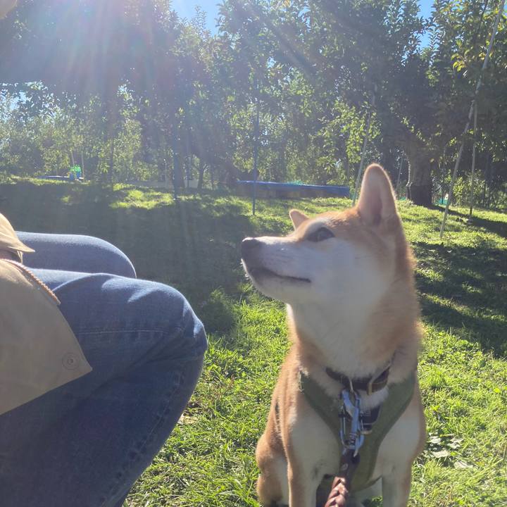 672e7cd5 2733 4249 a1e5 36bc8cec656c 1731419588632