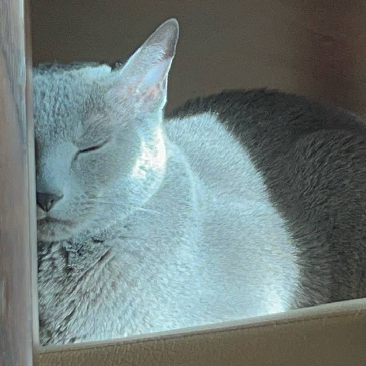 672f025b 2d6e 440c a0d7 47f686e043ff 1741646107775