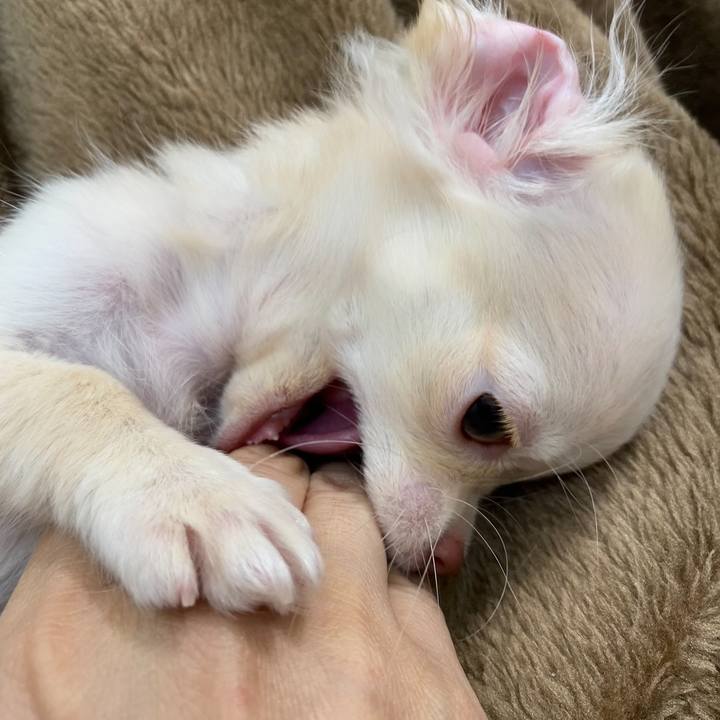 672f091e 0edf 49f9 83d8 eeb2312c41f7 1703161678474