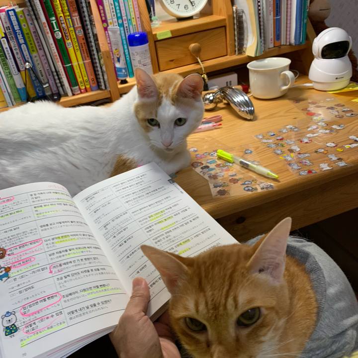 672f1861 3f0b 416a 9f1f 9ac1ded41adf 1636658925598