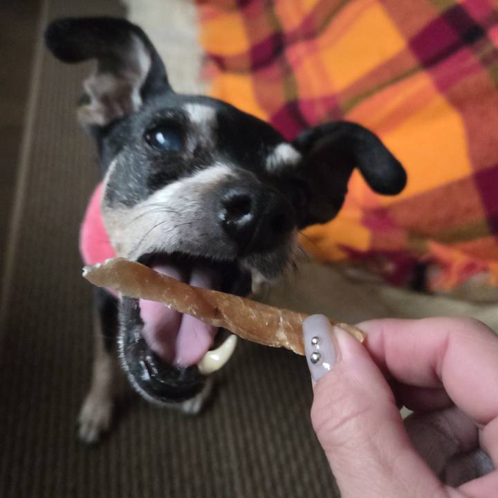 672f29c4 30cc 4aaa 836e 9c565b82d860 1762817734909