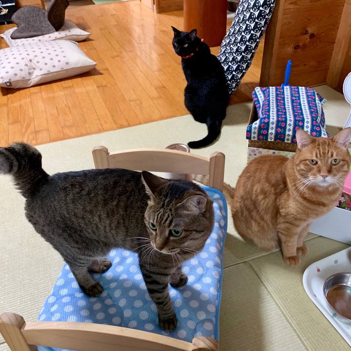 672f2bd3 71b0 4ac6 a387 43d9ecdf79d7 1563864795869