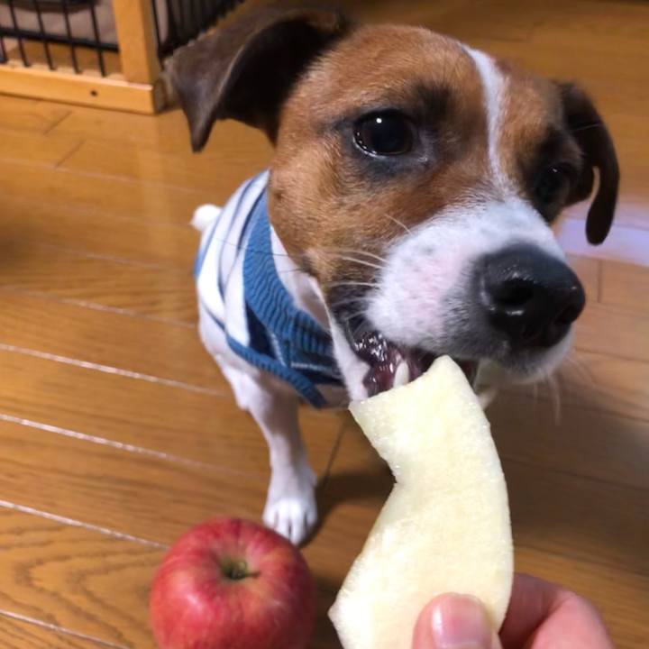 672f2c1a 1122 46fa 865c d2d9cb34a7aa 1601988828328