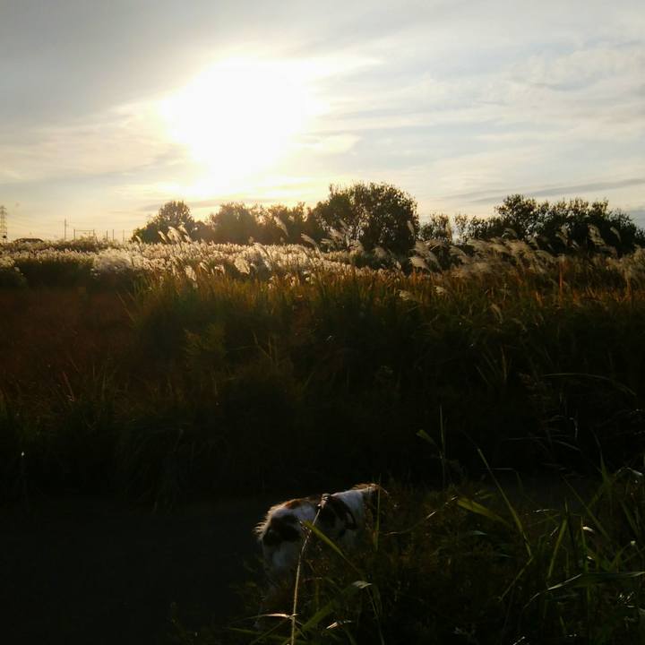 672f826c b6d0 40da b435 b9fd9d0c5514 1542099053777