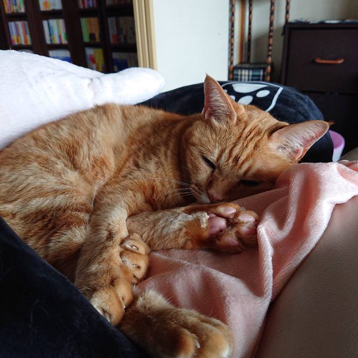 67300be2 872c 4436 8a21 cb95b8660a04 1619660434190