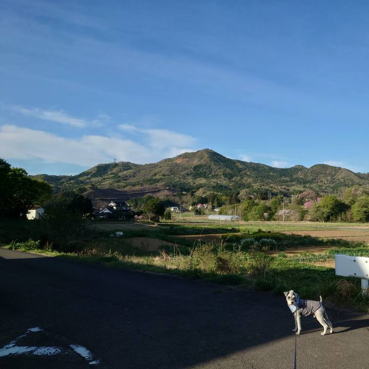 67301b58 d543 44be aeca 6b0eb2e0a130 1776811147414