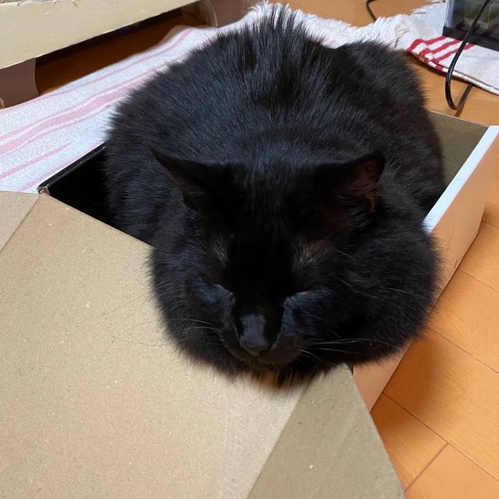 673028ce 7236 4d3a b4cf 0f8629077d32 1636424761809