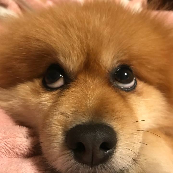 67304e48 f5cd 41dc 91d9 def6591288da 1512393643699