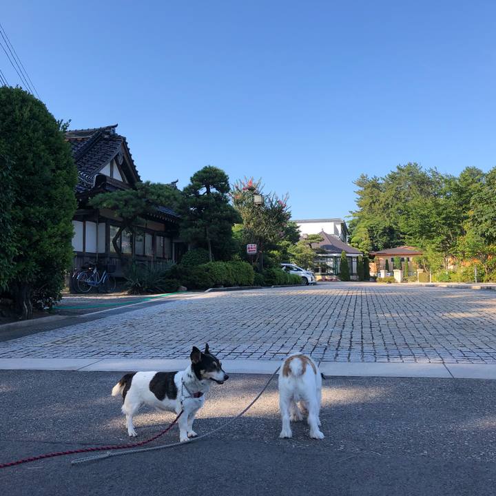 67304e6c 515f 49f3 a4ab fa3af0c5e819 1564615860841