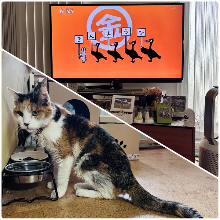 673089b5 7143 49d5 b699 ddc399974b9b 1744928405823