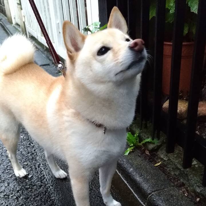 67309ee7 6e94 4a36 959c 21dd55c132f8 1602194540476