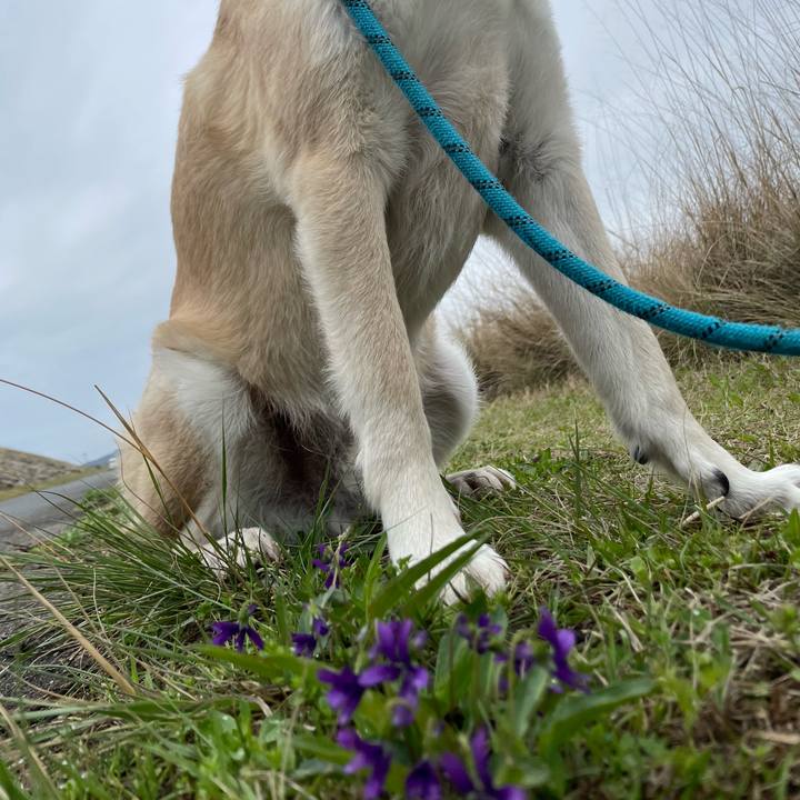 6730d583 4728 417a a9d8 fdd6334f25b3 1679835857873