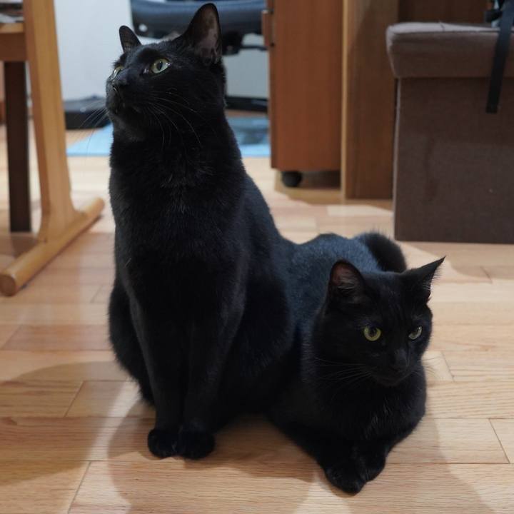 6730dc2d acc0 41e6 903f 0e3bbf78585a 1618025492566