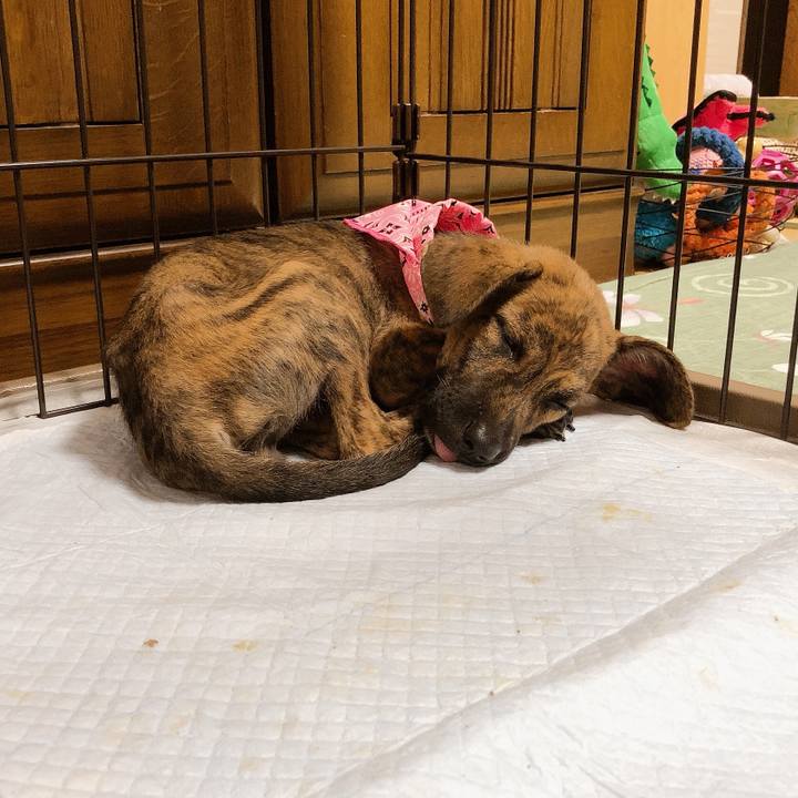 67310584 e0ab 46a0 955d 8220057cb7f6 1567525010666