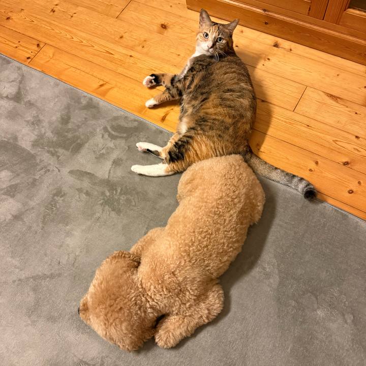 67314a1e 22c2 4562 881c 32dfcb8be493 1762905054522