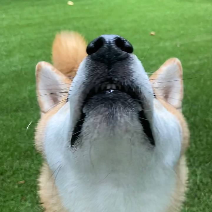 673154ab 0044 49a7 8eae bbf4851bbf74 1688338364010