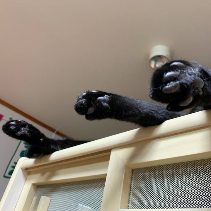 67316123 68b0 41e6 a6a5 f041f5eb2801 1566293379014