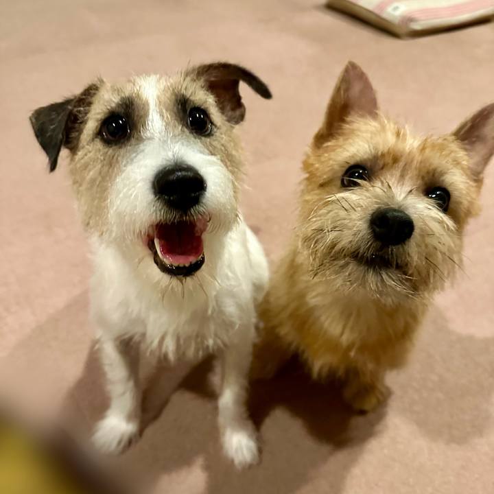 67318054 6555 4b10 95d4 882ae9a042ef 1724517582380