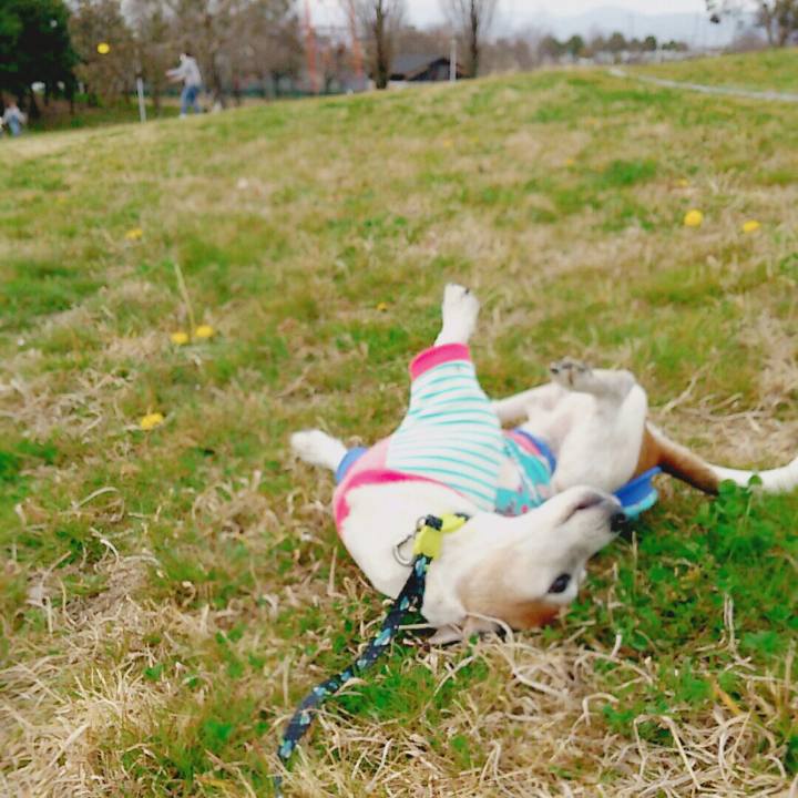 6731ca08 5f5c 4e62 aefa ef132008f335 1521376971305