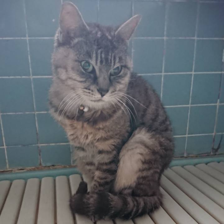 6731e517 6689 4b8b ab29 7b2901c0a3a1 1570504326653