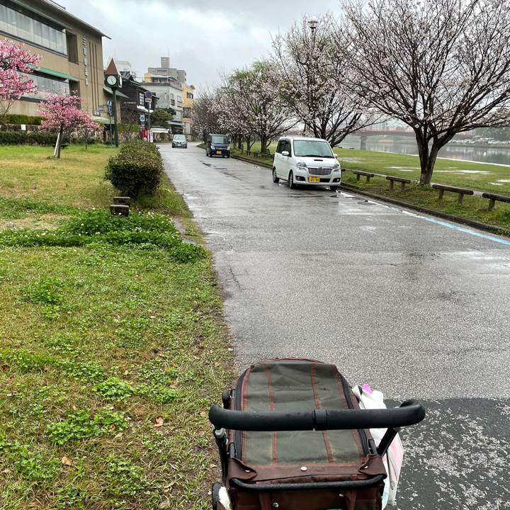 6731eab5 9cf3 4ed7 b873 6e71f09354c9 1679814261392