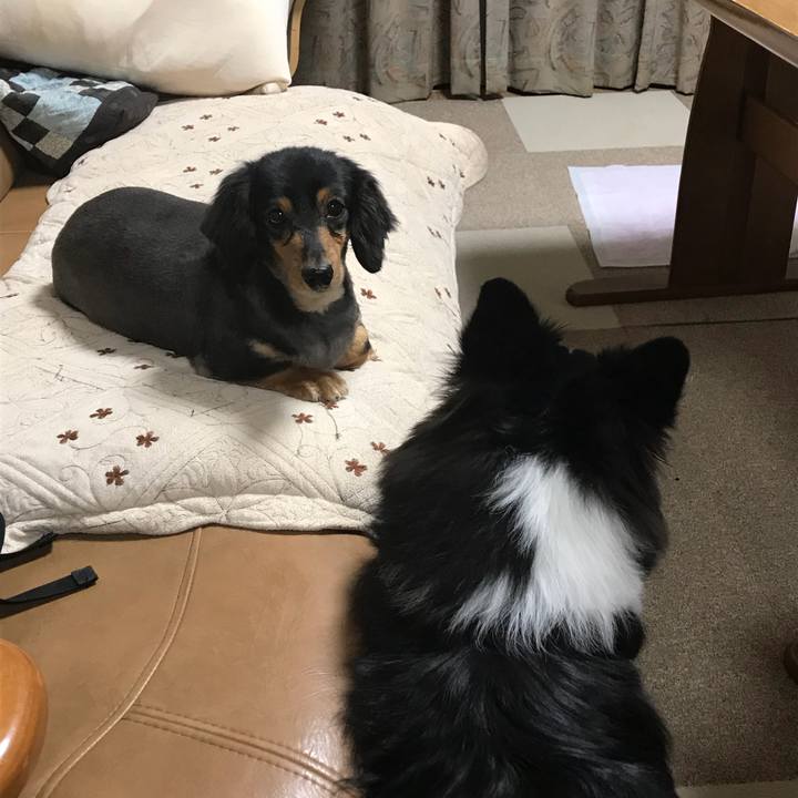 6731f801 62dc 4134 82bb 8fbad1f2f450 1524779845041