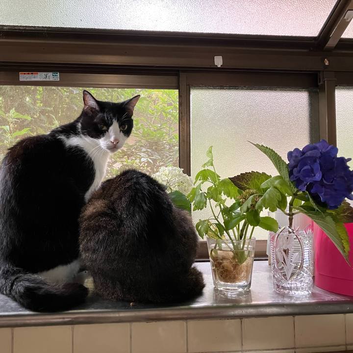 6731f9b9 d9ef 40e5 ae47 574fdf1652d7 1751062309690