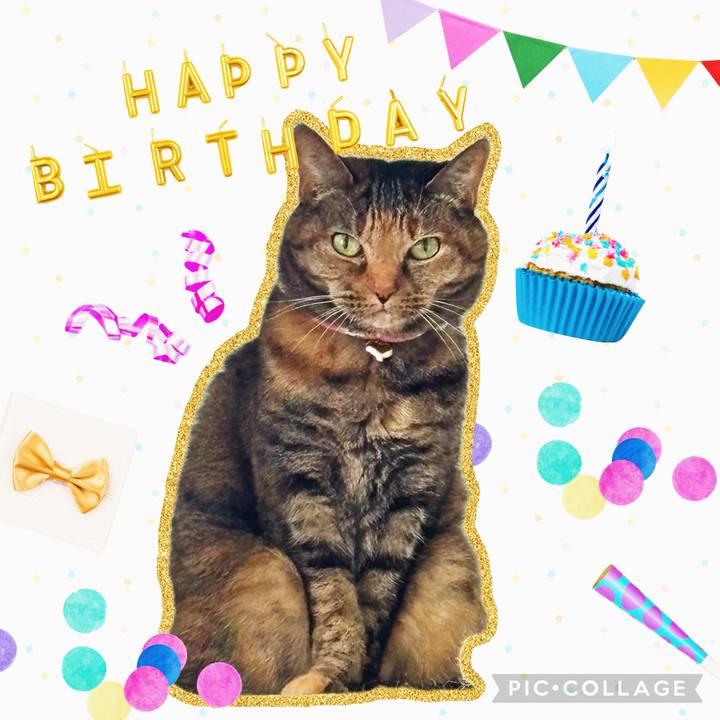 67321332 3f1a 4959 9646 602e3b0d3e84 1716247767596