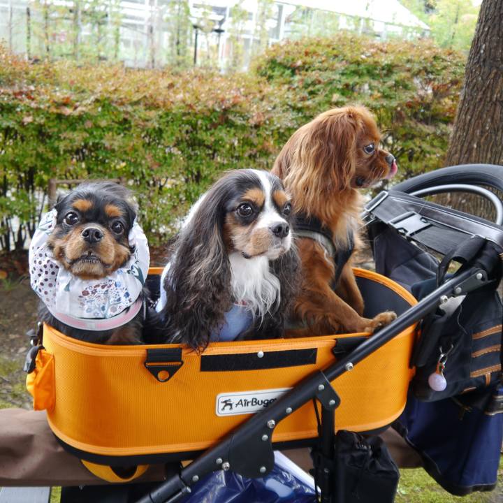 673216ba 4d7c 4172 beb5 a94be49411c6 1550243602213