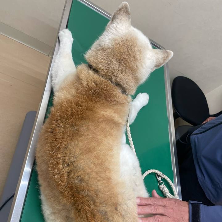 67324b31 3c2a 46a7 9398 fb2aad2664da 1746794889511