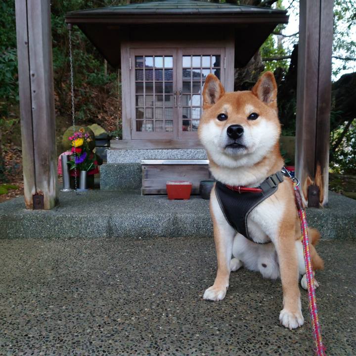 67327257 e25a 40fc 8026 99f68ab5e5fa 1771112669141