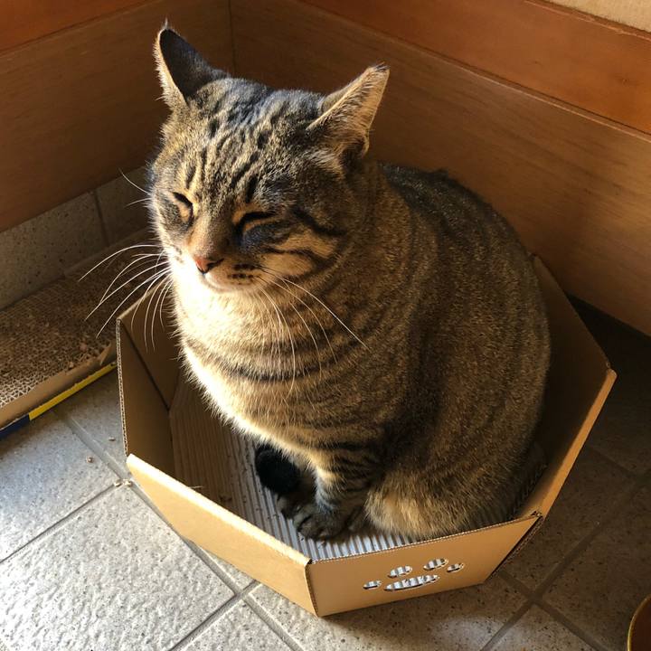 6732a2c8 113b 4ad3 81a0 0f0accf39684 1543655708276