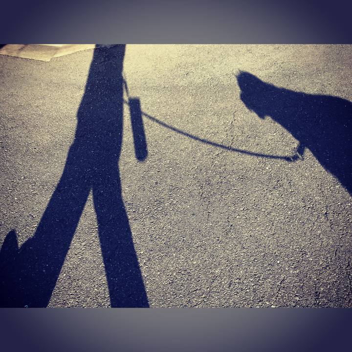 67330d36 f224 4dd7 b3bb 64eb144da7e4 1572968766503