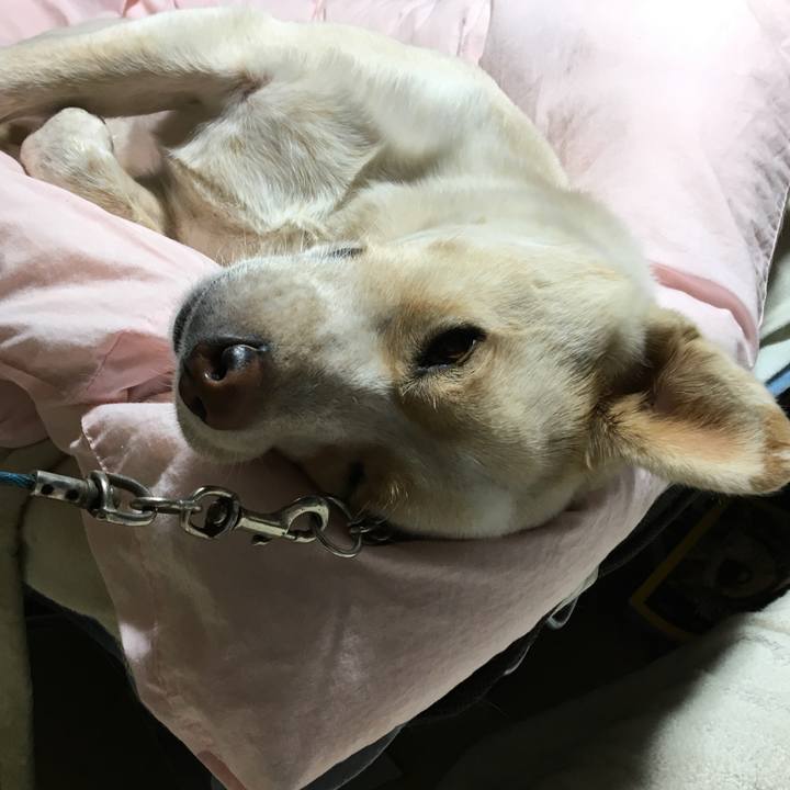 67332691 d36b 4773 86f6 ab5c3d0b41c5 1515332450129