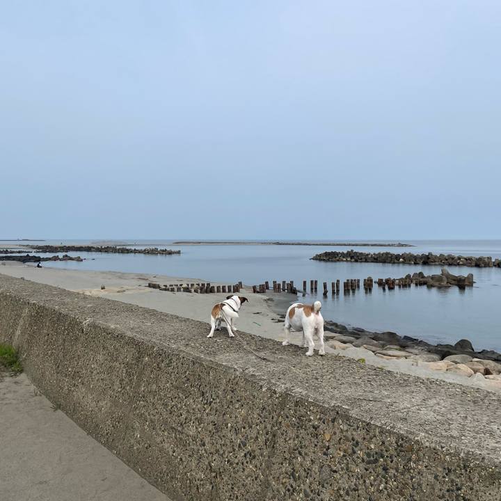 67333322 f538 4979 a8a9 2f170e36c680 1686183020210