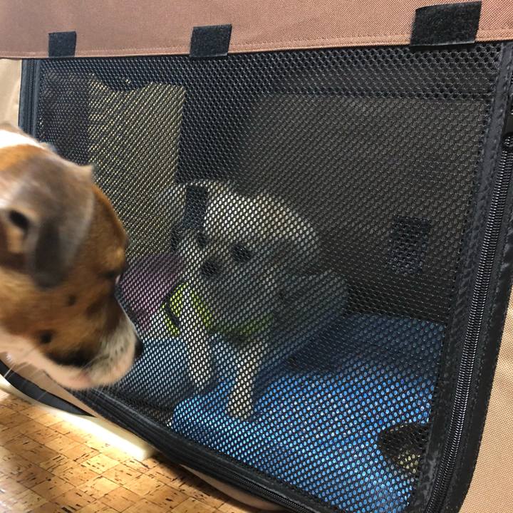 67337348 58ee 450f ad21 308cf90eb389 1573389060095